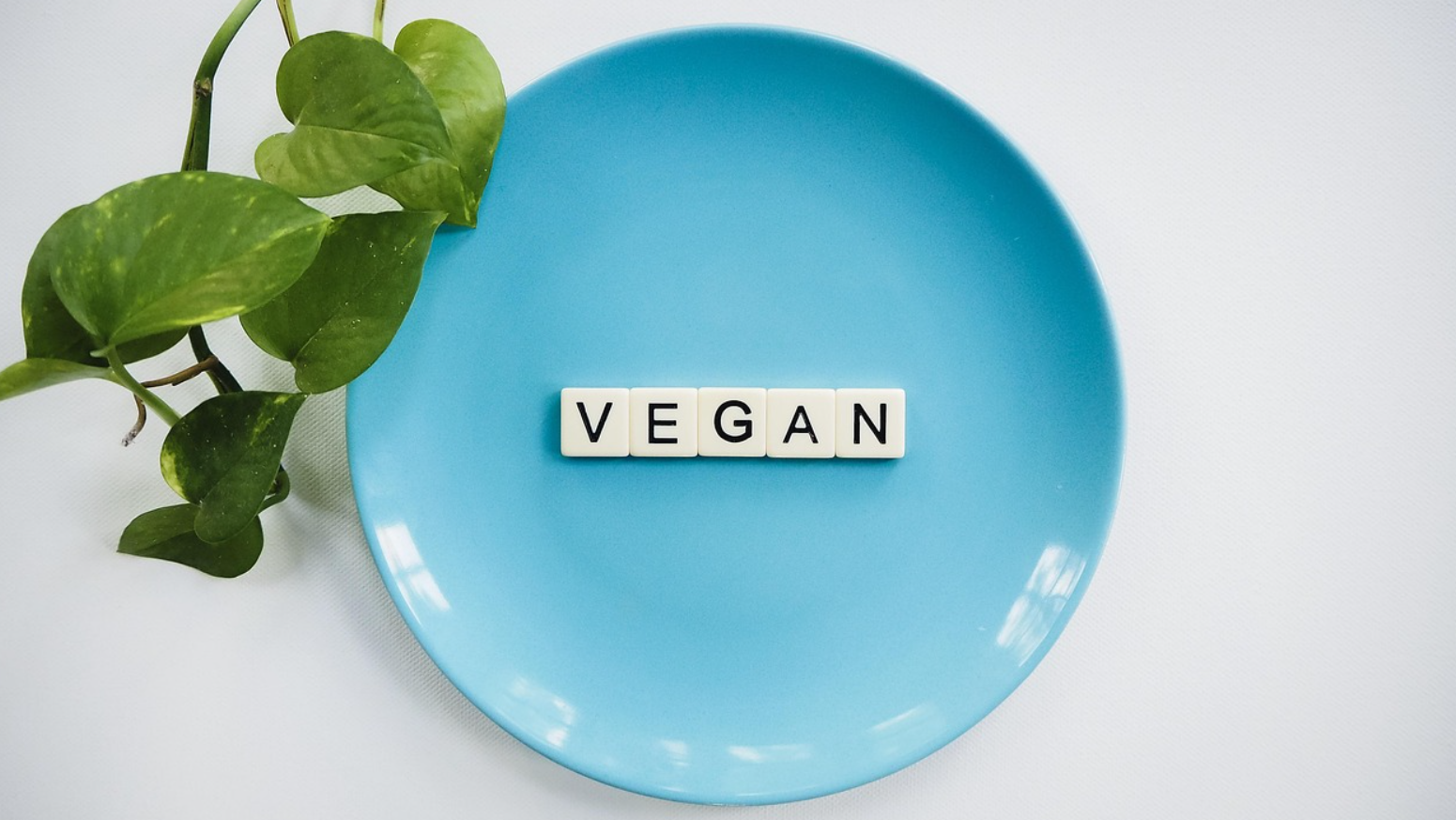 비건 제품이 환경에 미치는 영향에 관한 사진