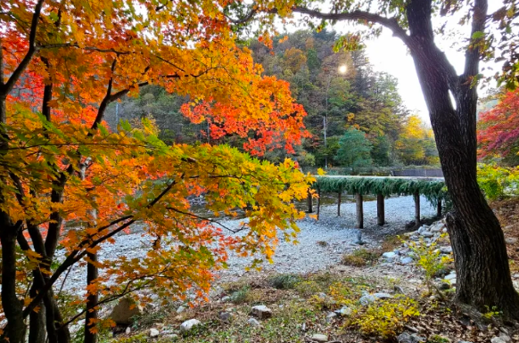 2025년 10월 국내 여행지 추천 TOP5 관련사진