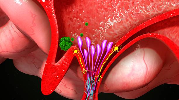 과탄산혈증(hypercapnia) 증상