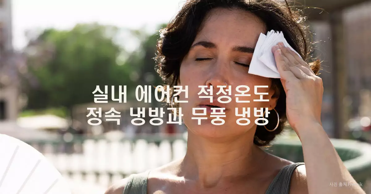 에어컨 적정온도와 정속, 무풍 냉방의 차이