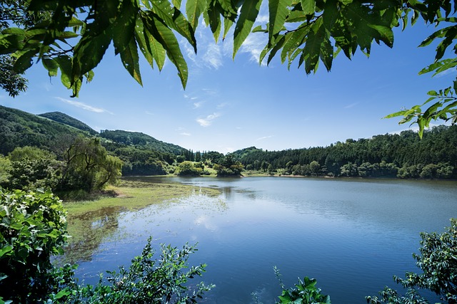 서산 용비지