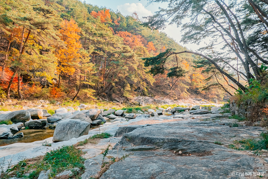 봉화 가볼만한곳 베스트10