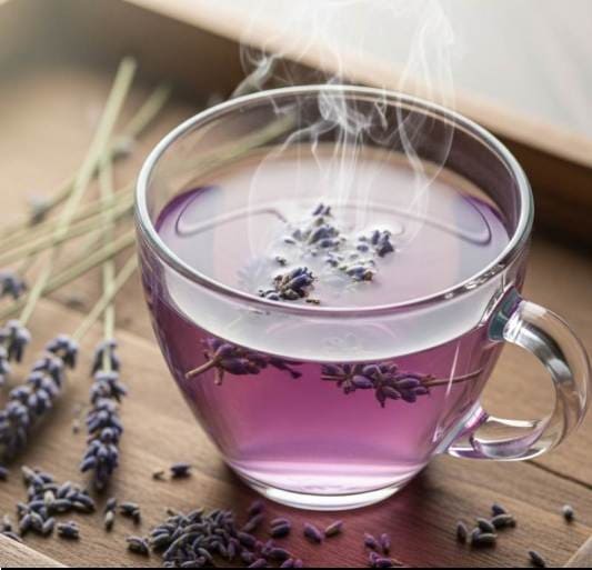 라벤더 차 효능 심신 안정, 소화 개선 섭취량과 부작용