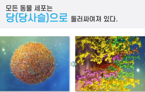 단당류 당사슬