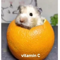 Vitamin C