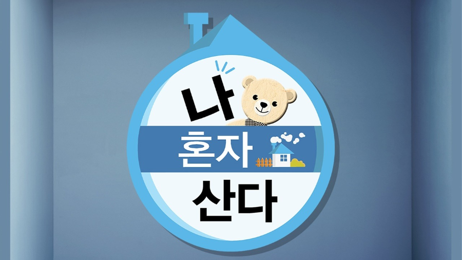 나혼자 산다 향후 시즌 방향