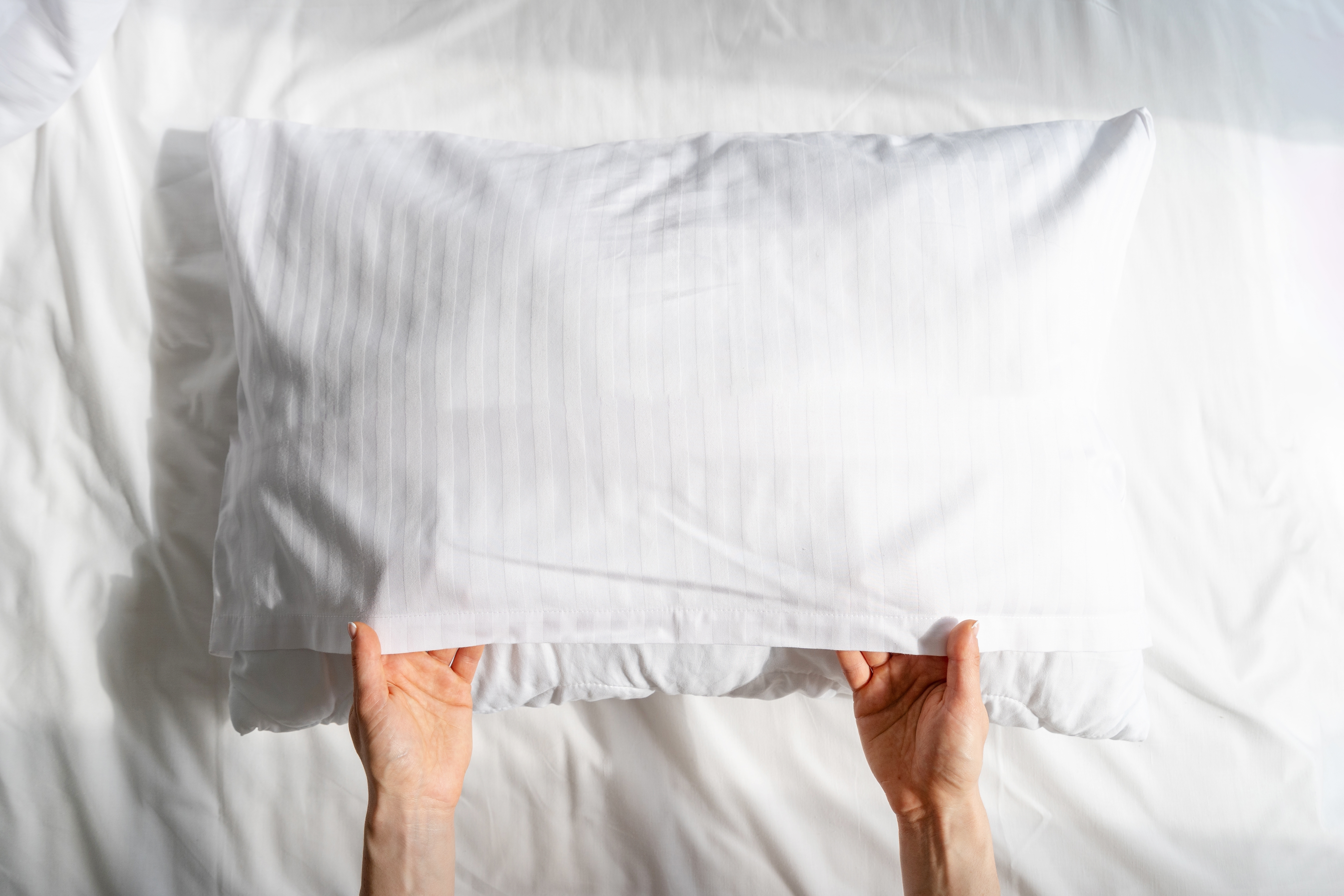 손으로 흰색 진드기 차단 베개 커버를 씌우고 있는 모습, 깔끔하게 정돈된 침구 위의 베개
