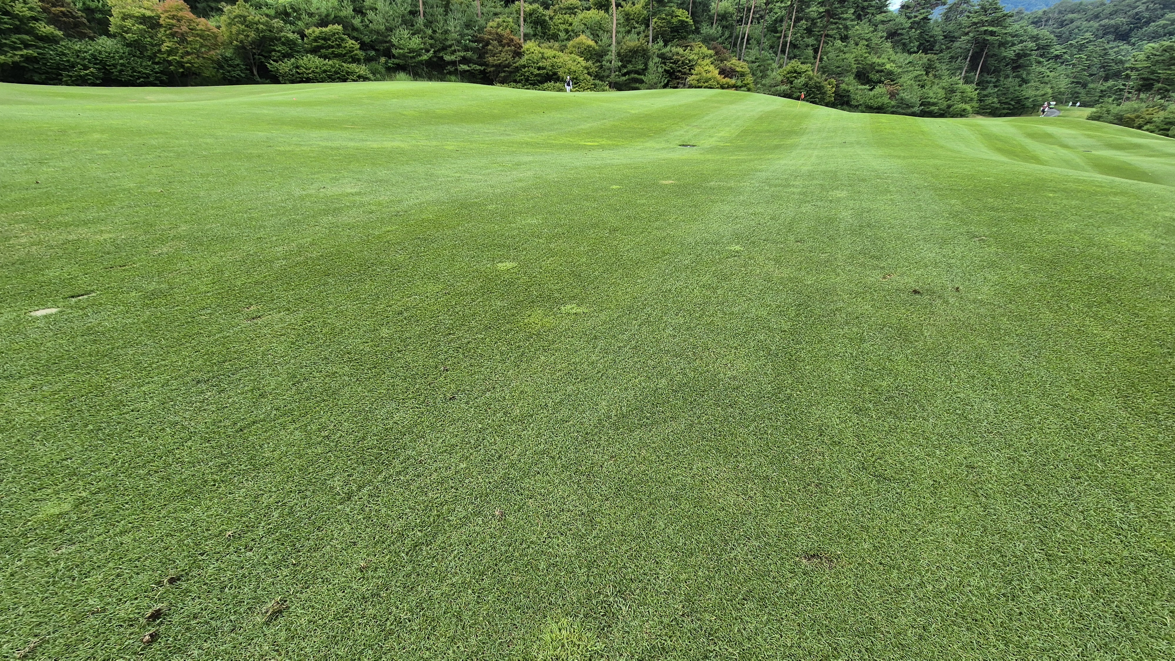 센테리움cc 스코틀랜드-웨일즈 코스 라운드 후기