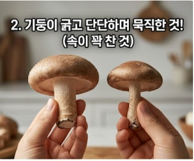 표고버섯 보관방법