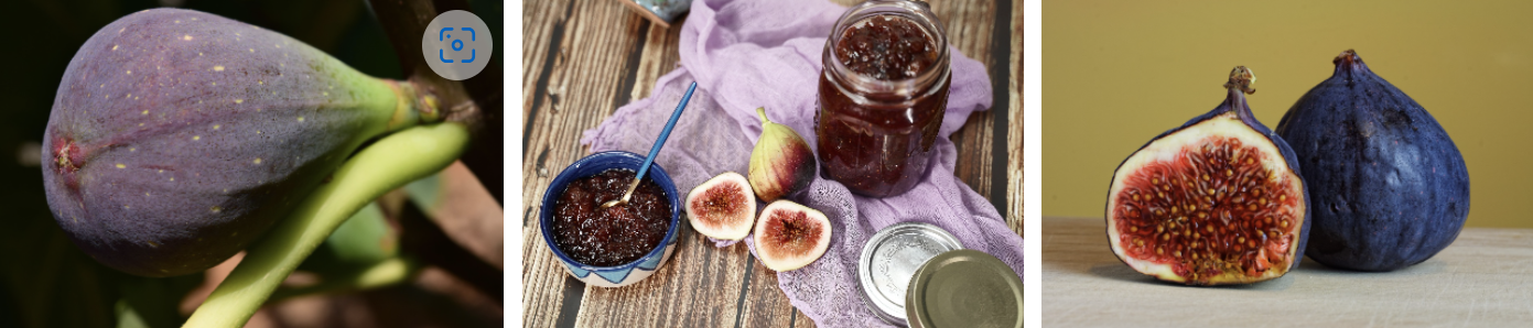 보관법과 섭취 팁