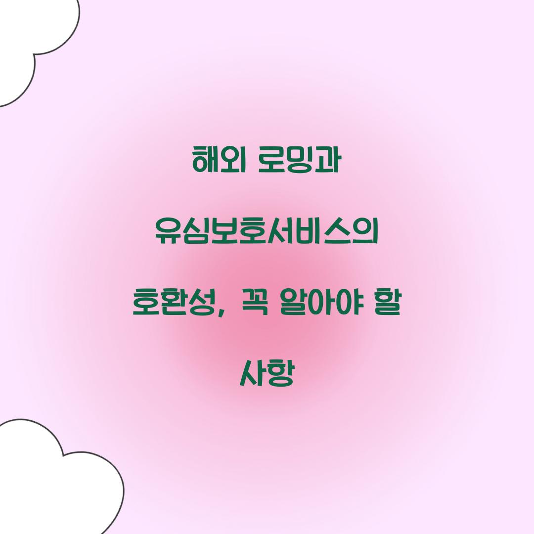 해외 로밍과 유심보호서비스의 호환성