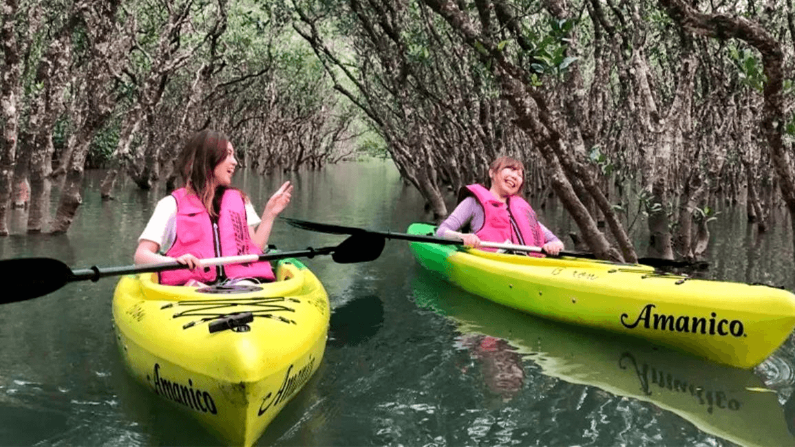 맹그로브 파크 카누 체험