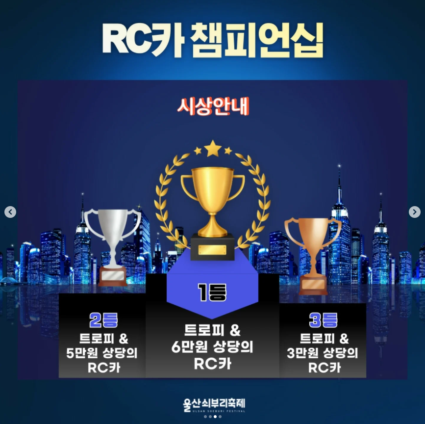 RC카 챔피언쉽