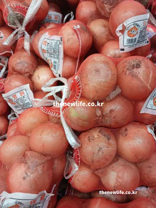 고지혈증 좋은 음식 채소 양파