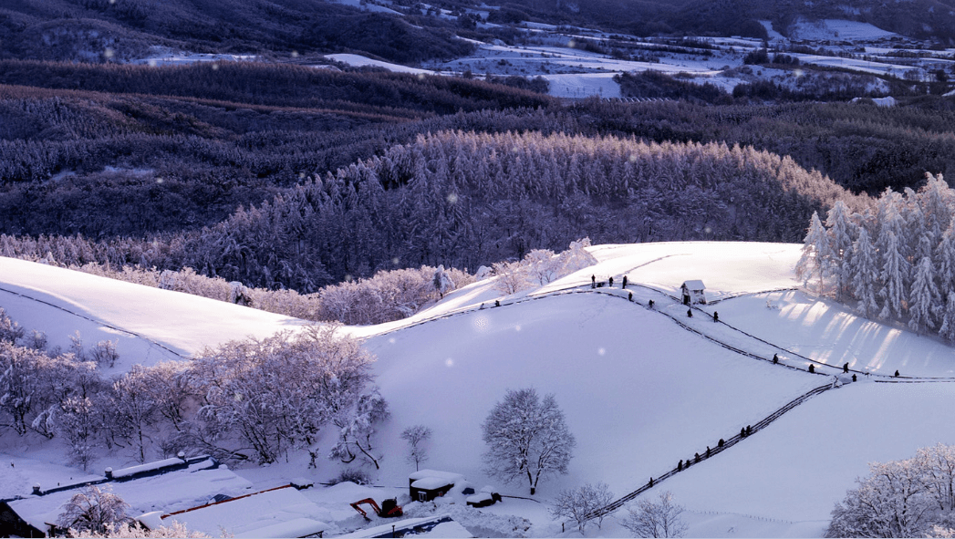 겨울 여행지 추천 대관령양떼목장