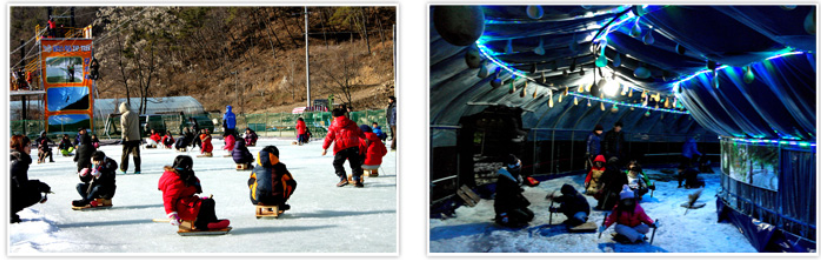 겨울 여행 칠갑산 알프스마을 눈썰매장 체험 놀거리