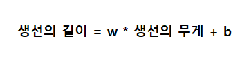 선형 방정식