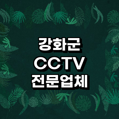 인천 강화군 cctv