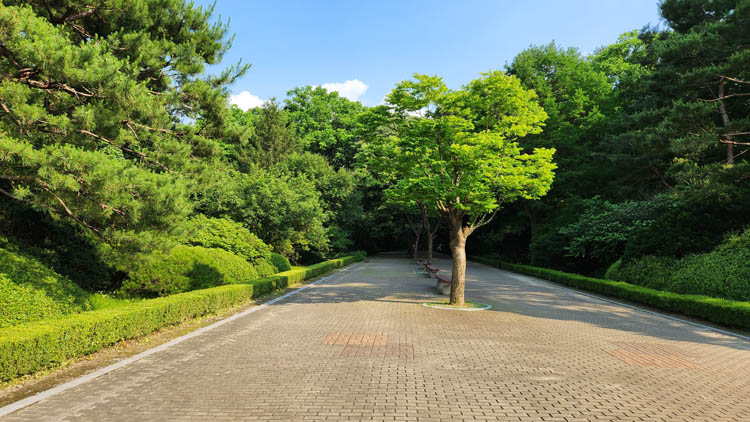 국립수목원-2