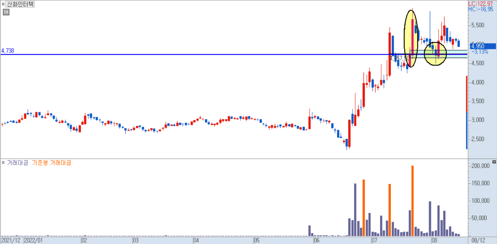 신화인터텍 일봉 차트 2)