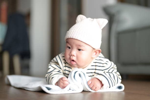 백일상 대여