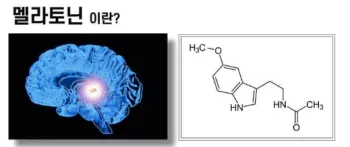 멜라토닌-사진