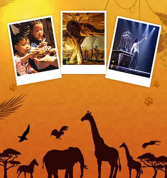 사파리체험테마파크