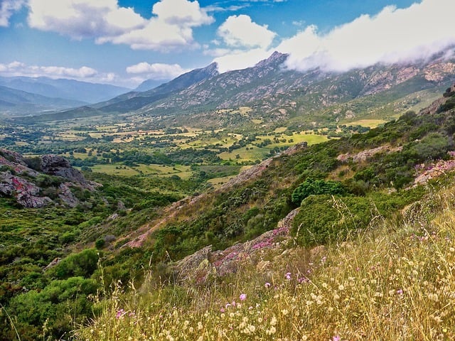 판교역-여주역 사이 운행 경강선 전철 지하철 평일 휴일 첫차 막차 시간표1