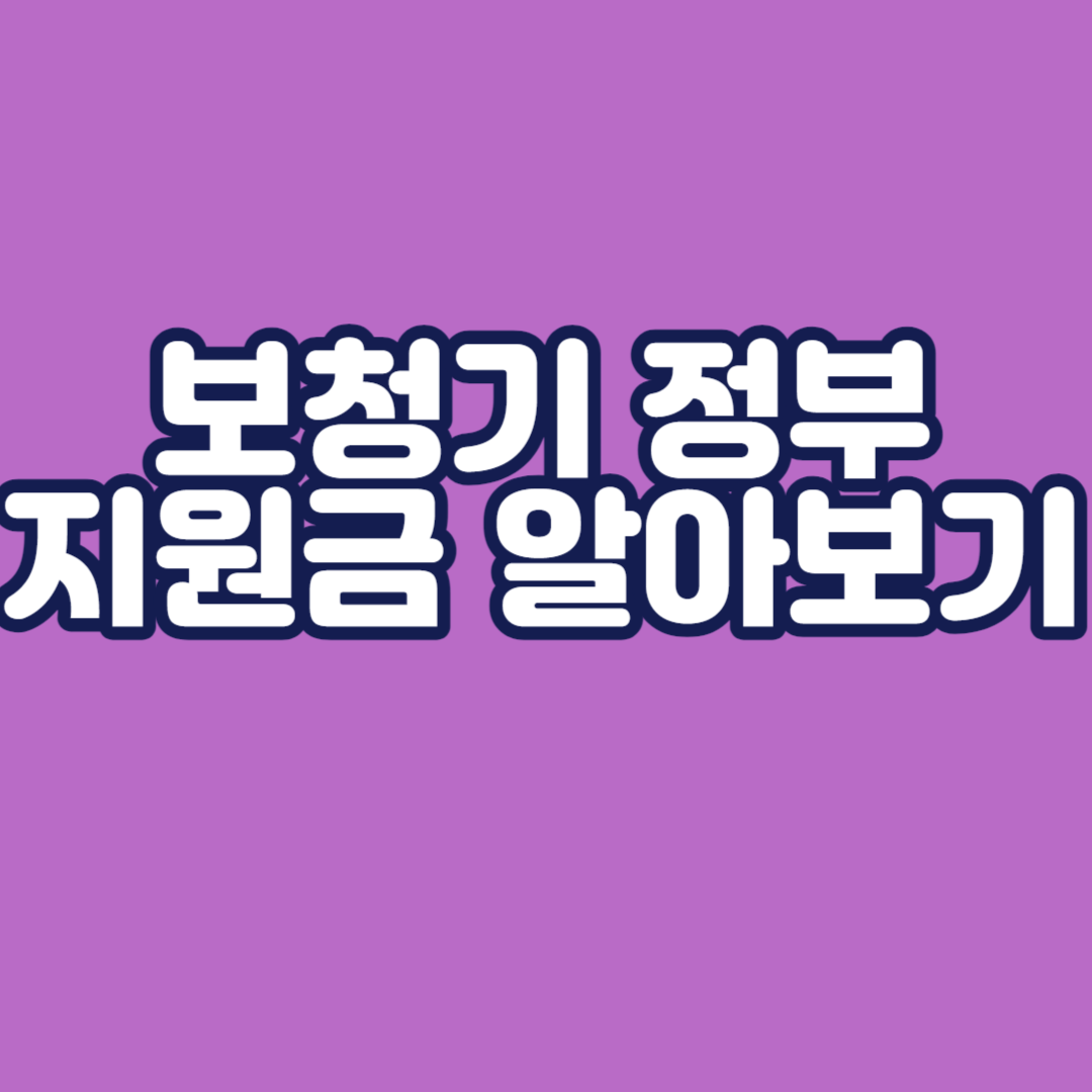 보청기 정부 지원금