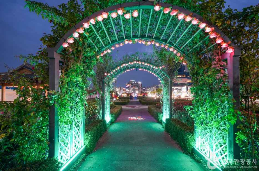 영일대 장미원 야경사진