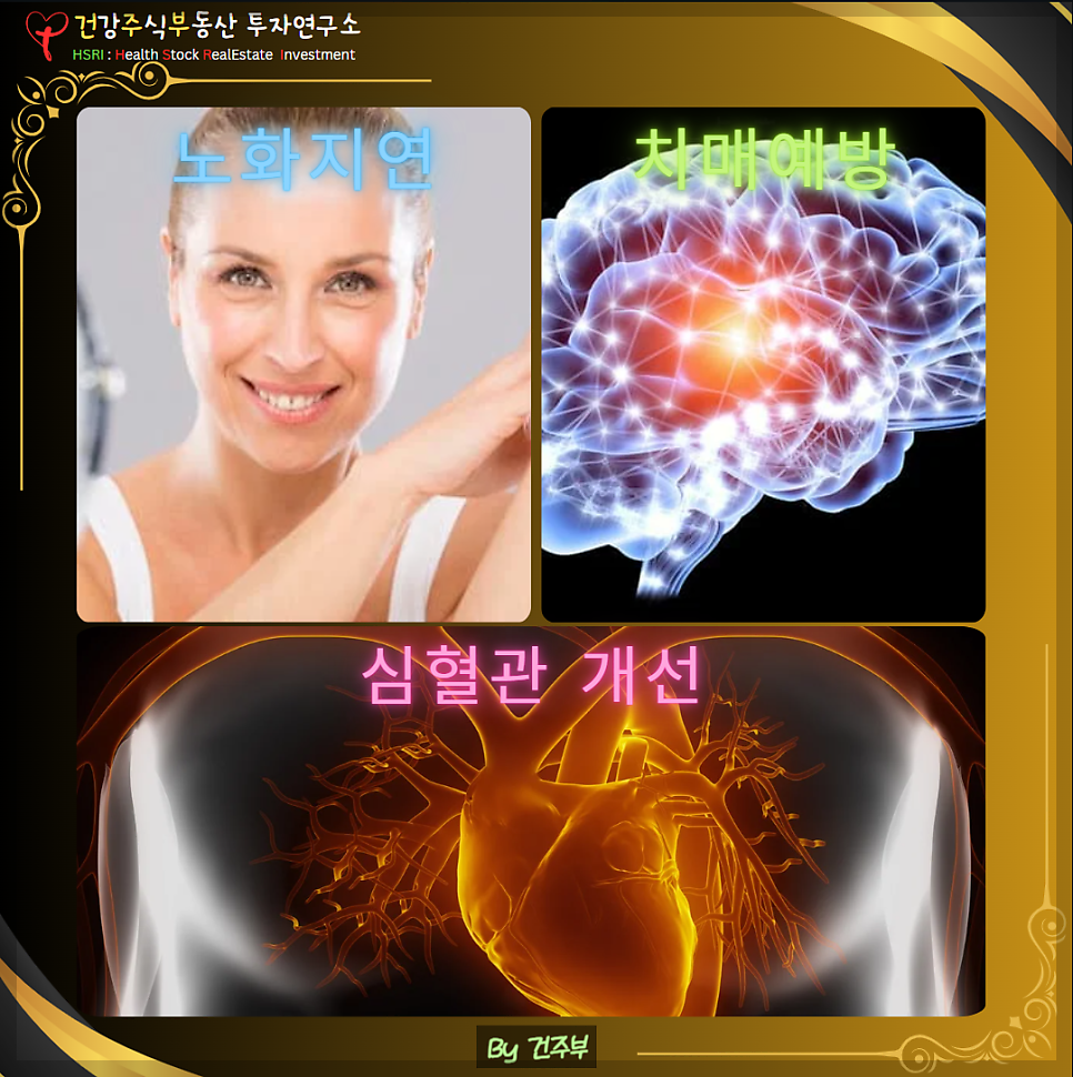 세포의 자가포식을 촉친하여 노화지연 치매예방 심혈관 개선 효과가 있습니다.
(글 그림 : 건주부, 그림 출처 : Canva)