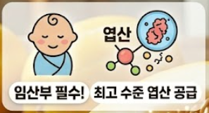 참외 효능