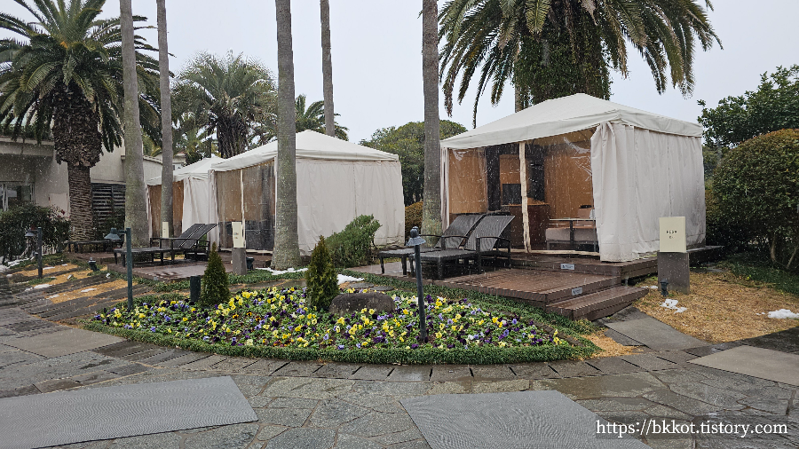 제주신라호텔 수영장