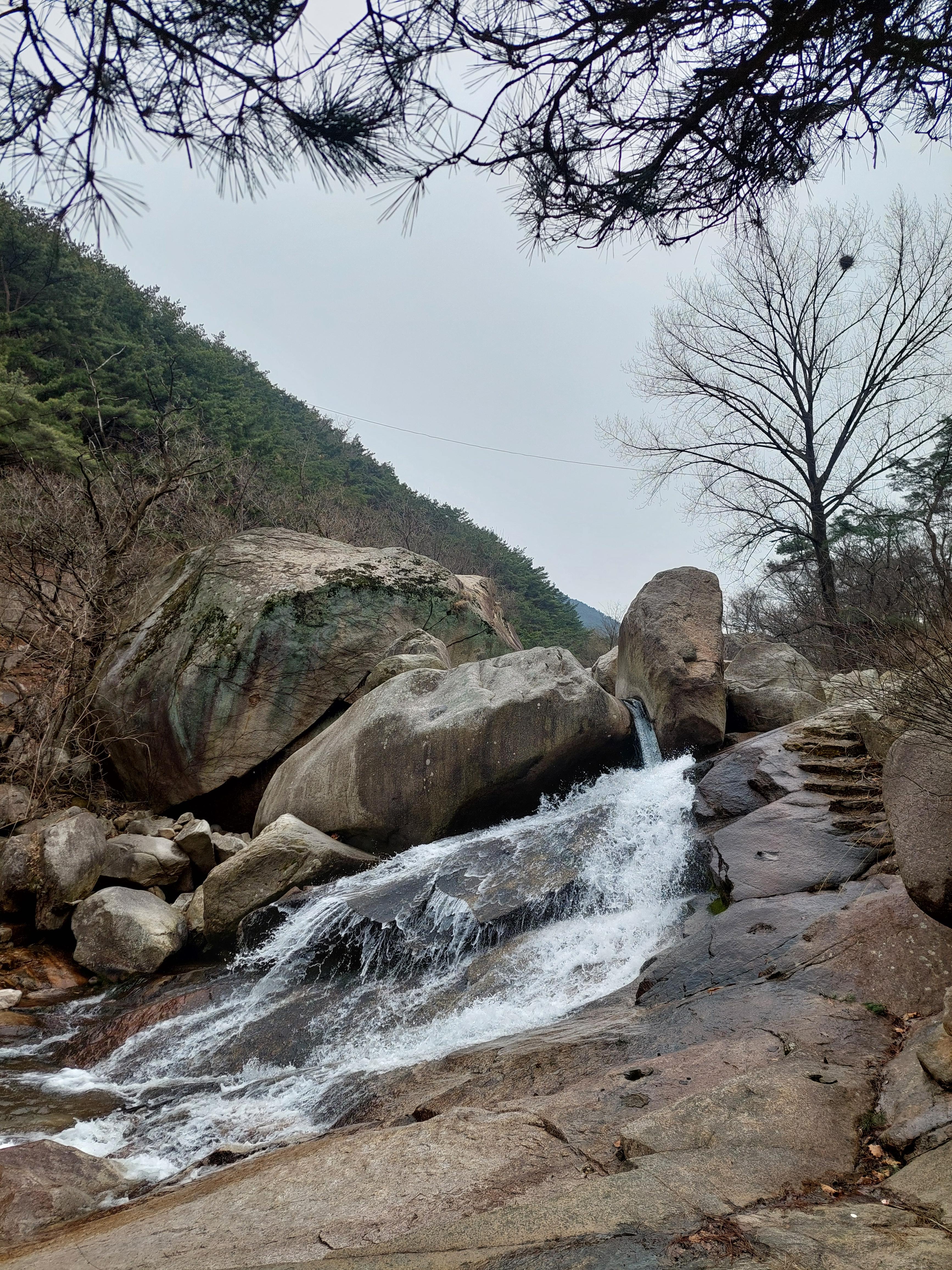 대남문코스