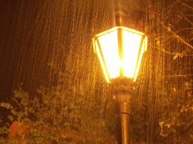 호우주의보 행동 요령