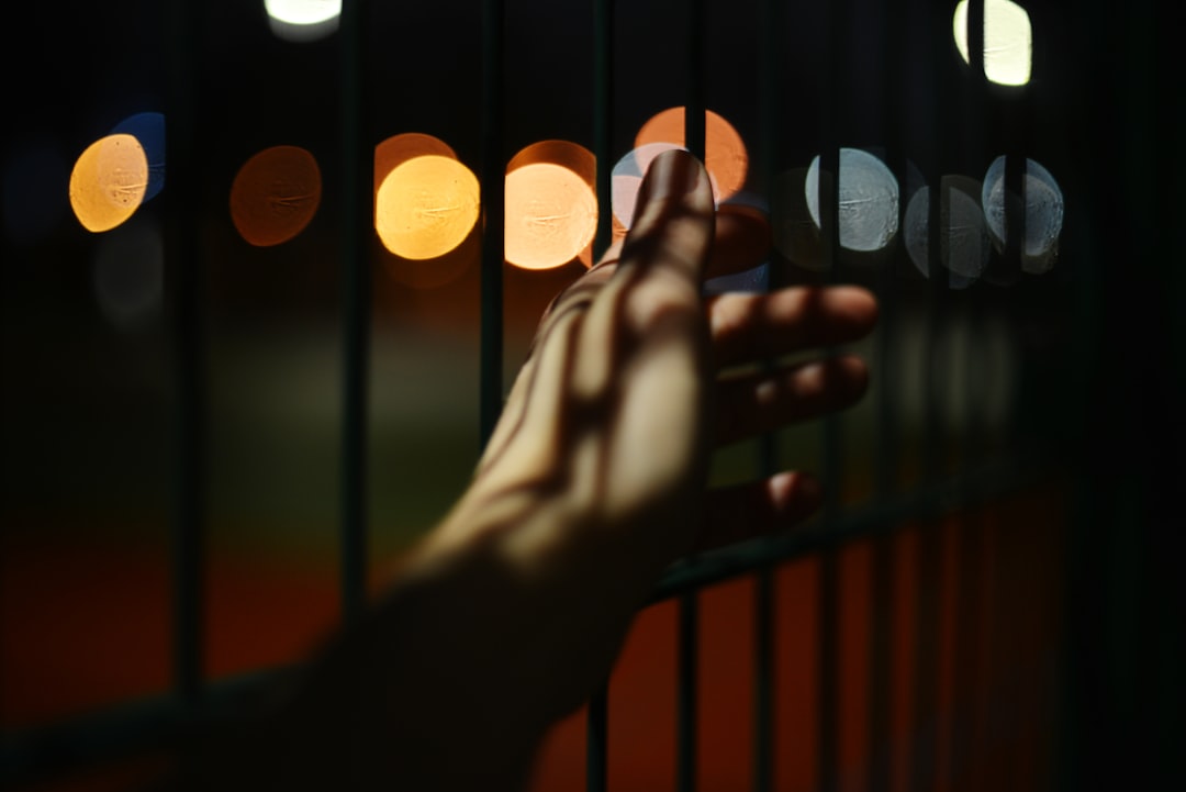 Custody