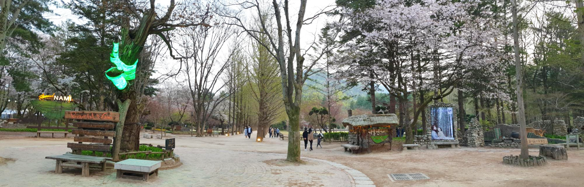 겨울-남이섬-풍경