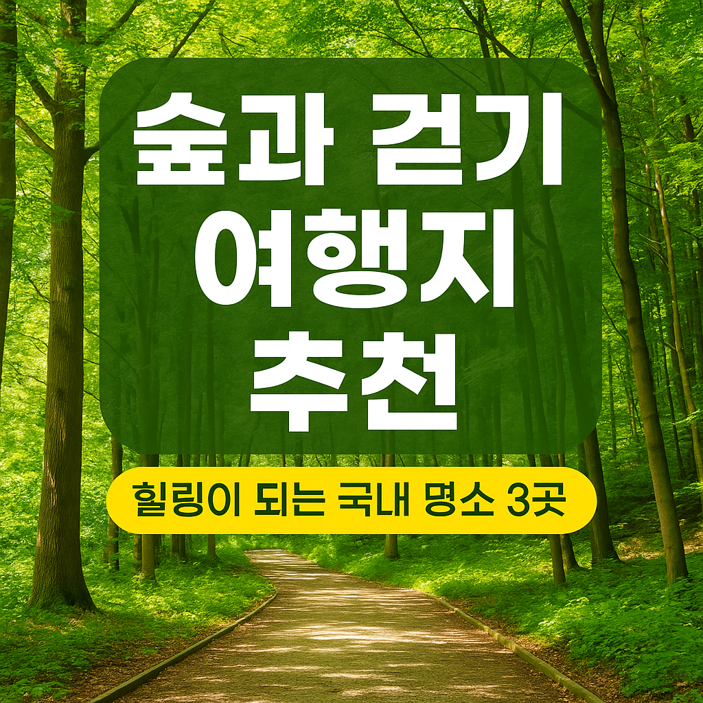 “가을 숲길 걷기 좋은 국내 여행지 TOP3 ❘ 자작나무숲, 섬진강 기차길, 옥순봉”