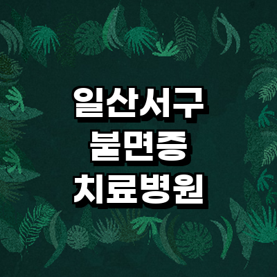 고양 일산서구 불면증