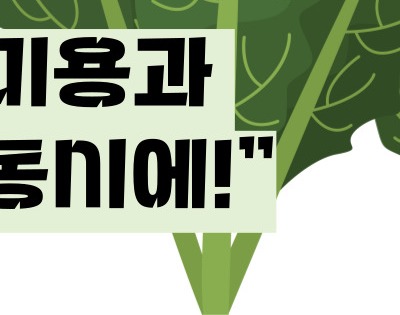 케일 효능