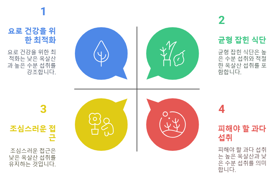 균형 잡힌 식단을 위한 요로 건강 가이드
