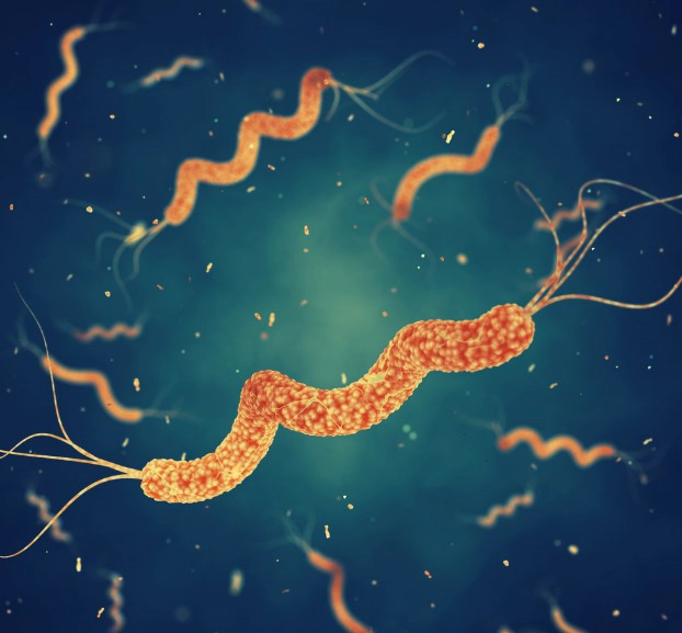 헬리코박터균 검사 방법