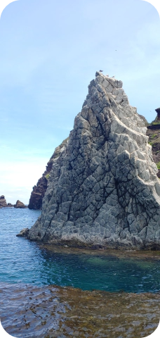 물빛이-너무-이쁜-독도