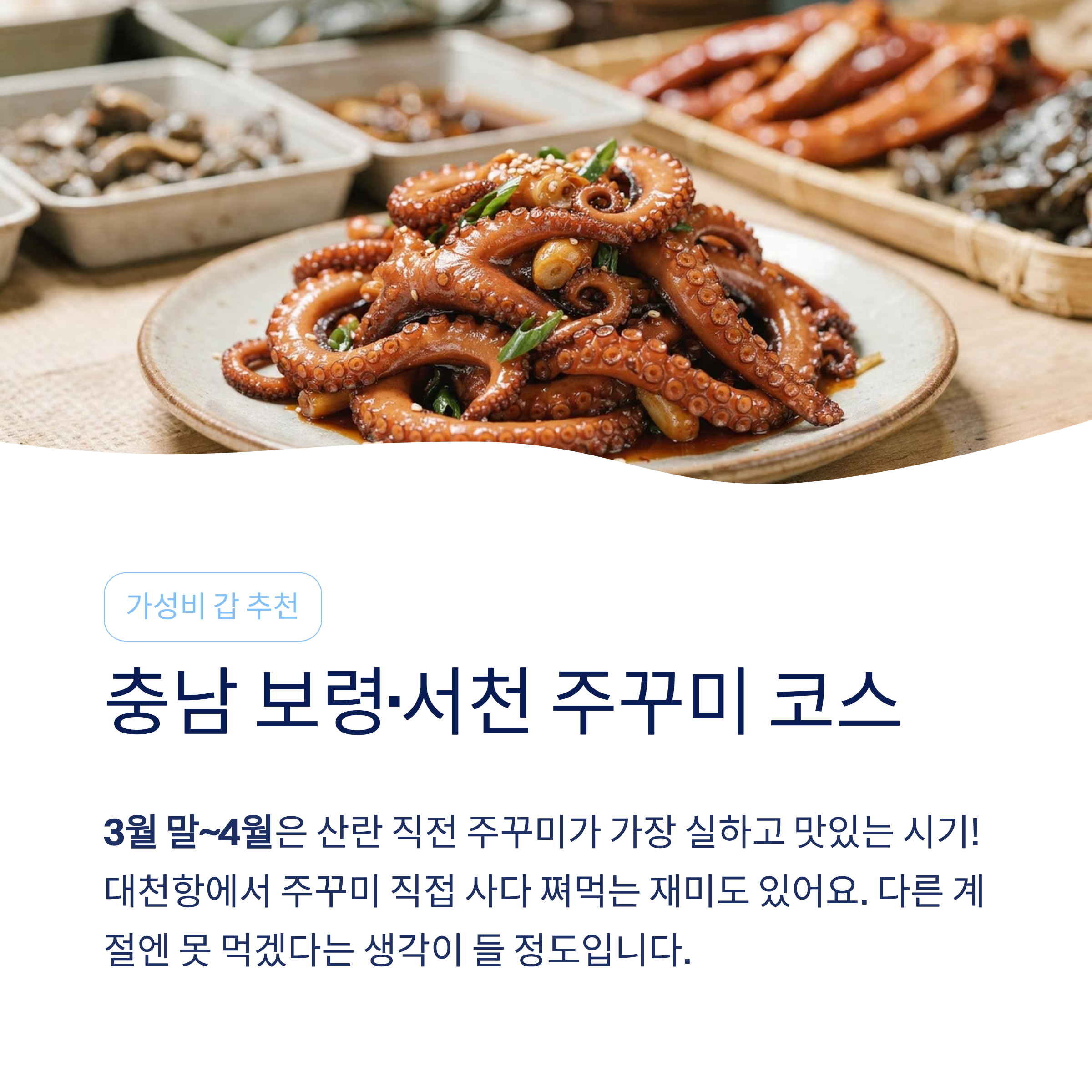 봄 국내 여행지 추천 – 40·50대가 진짜 좋아하는 가볼만한곳 총정리