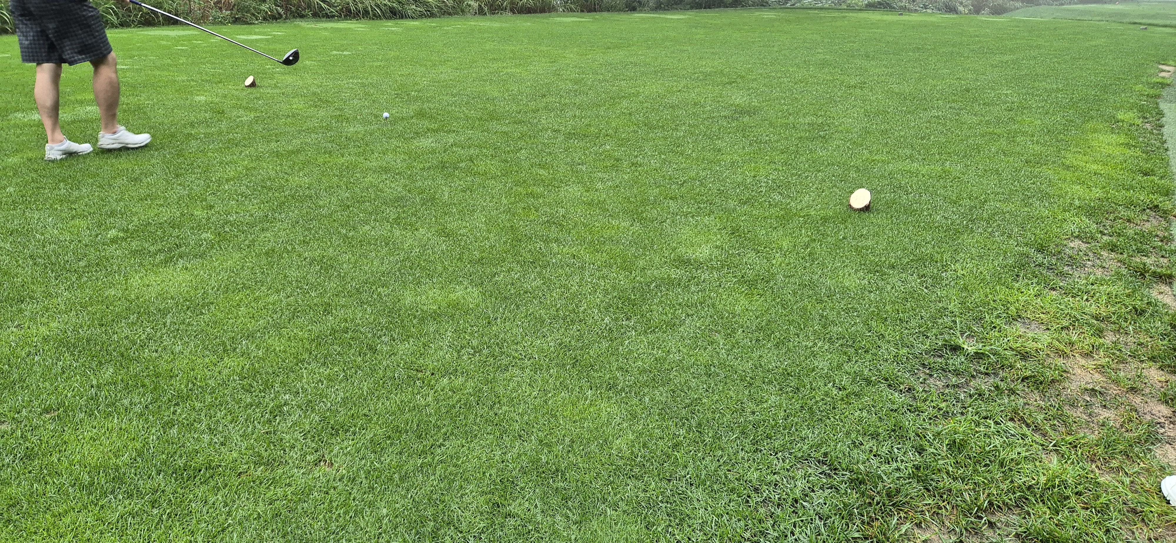 더플레이어스cc