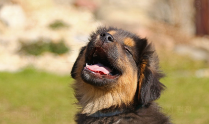 보습이 필요한 부위별 체크 관련 사진