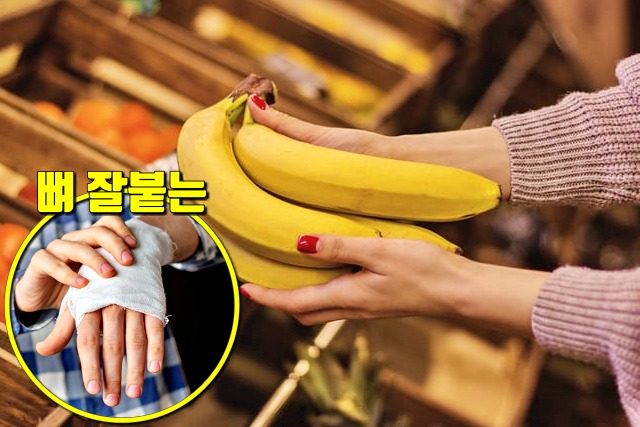 뼈 잘붙는 음식,뼈에 좋은 음식,골다공증에 좋은음식,홍화씨