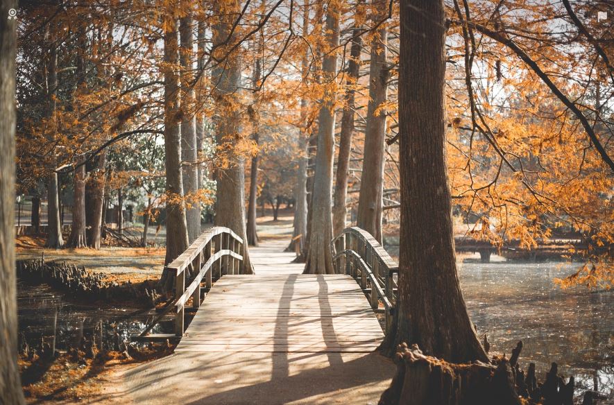 시니어무료축제_경제