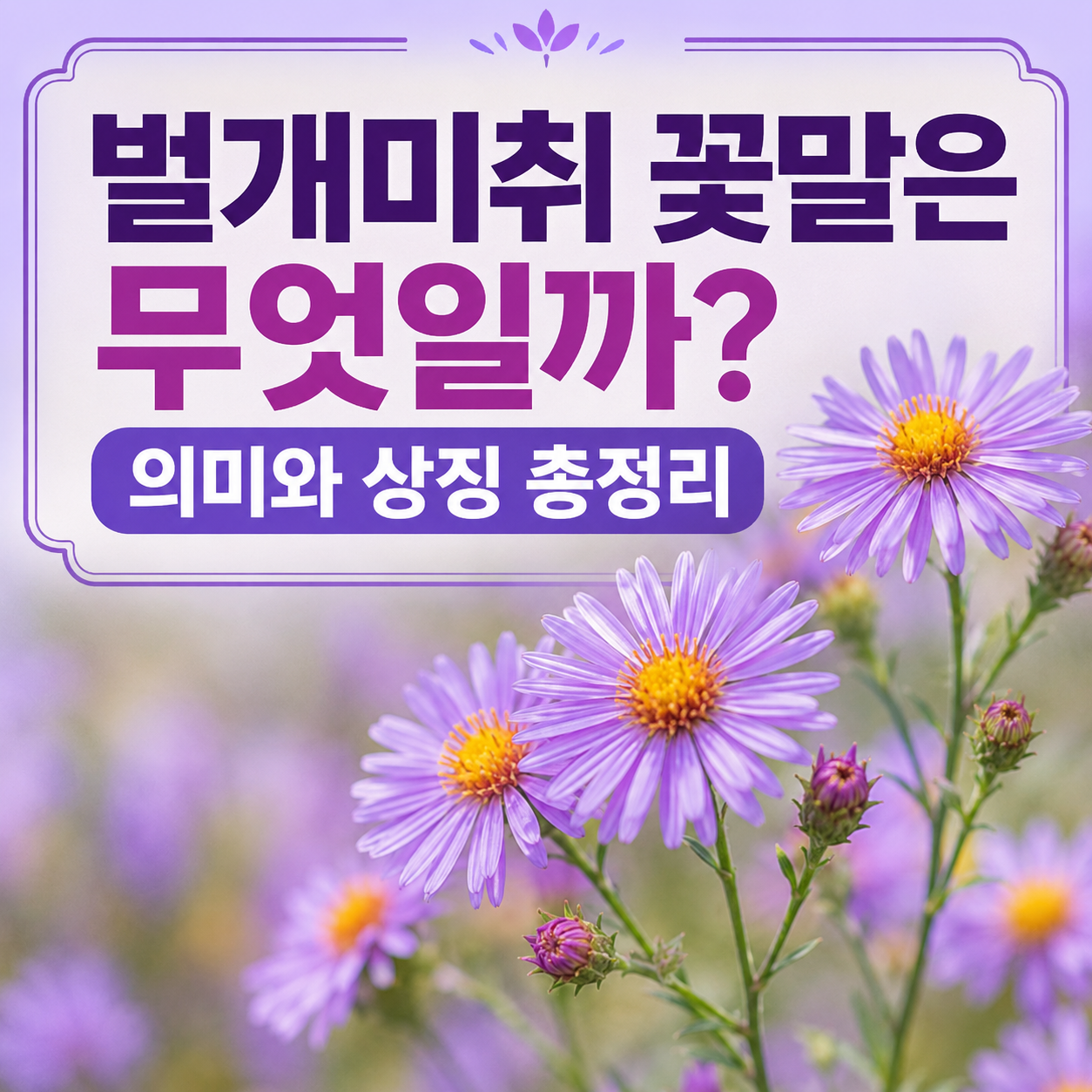 벌개미취 꽃말