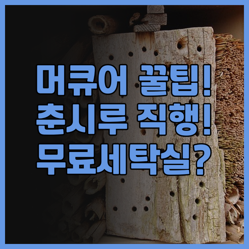 머큐어 청두 춘시 후기! 춘시루 도보..